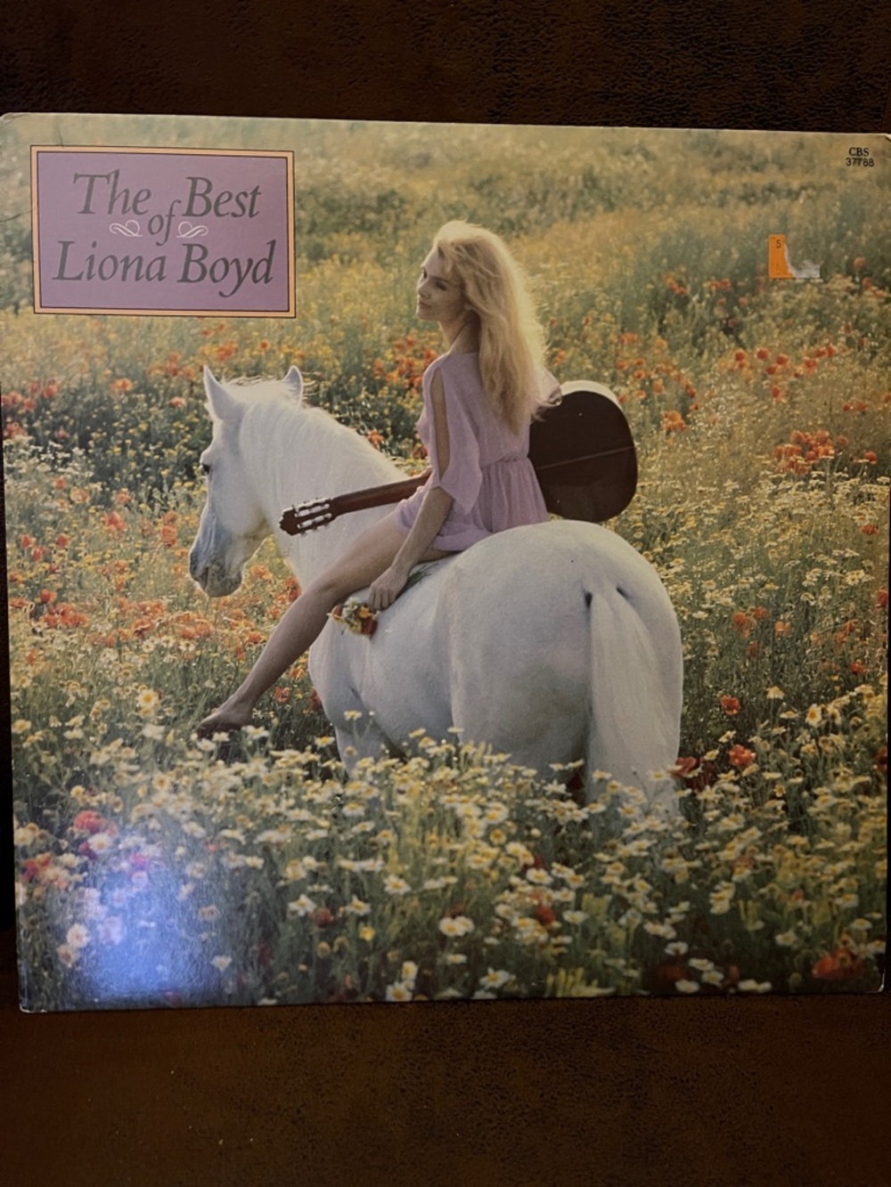The Best of - Lavender Cover Art Album Print
